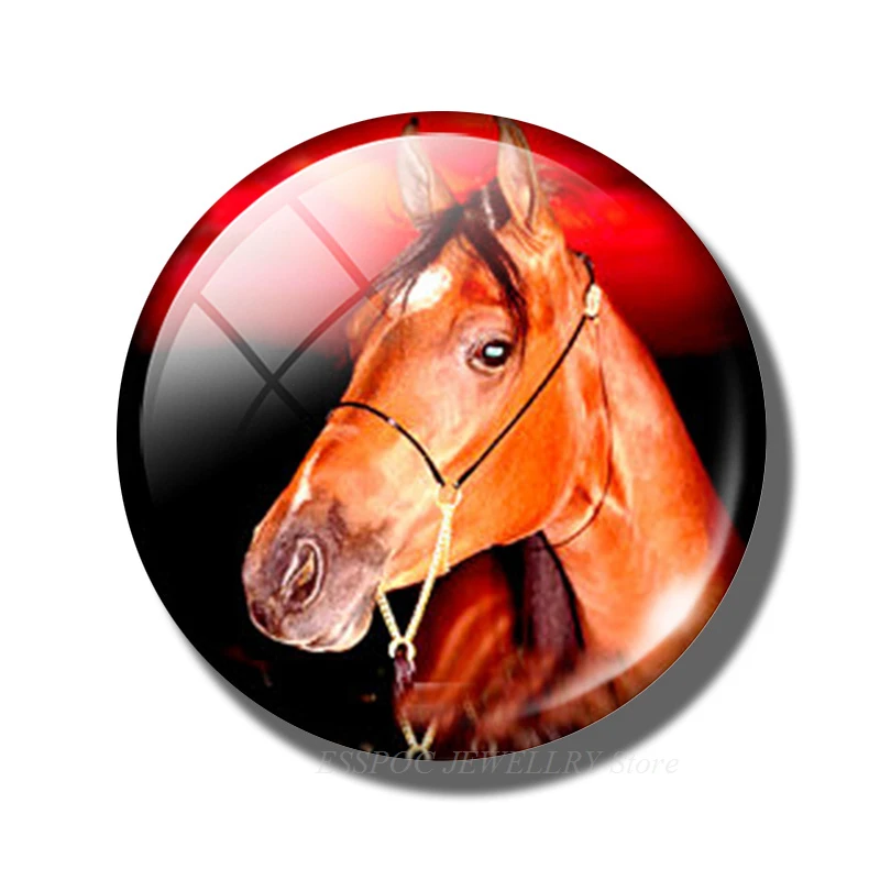 

Магнит на холодильник EQJJYPOC, лошадь, стеклянный