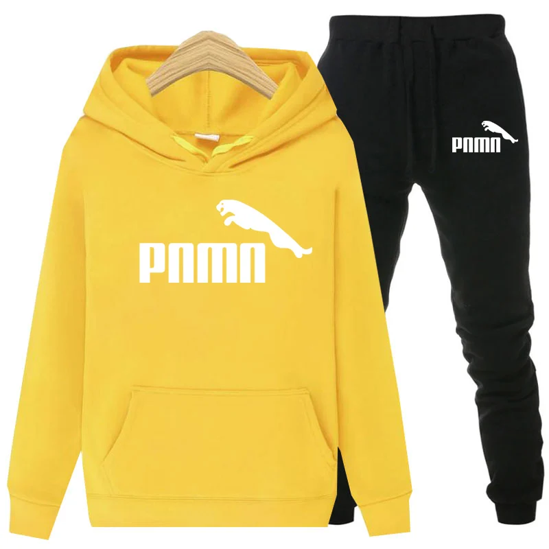 Женский спортивный костюм из 2 предметов плотный флисовый с капюшоном и штаны