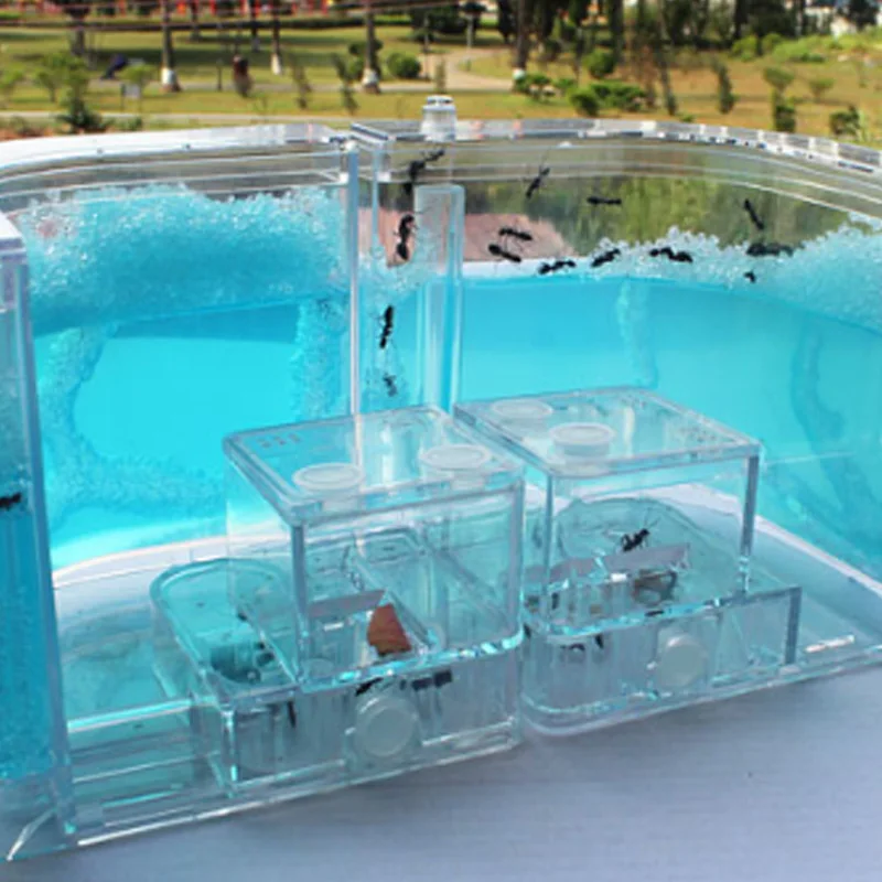 Муравьи фермы муравьи дом замок Террариум для насекомых клетка насекомые