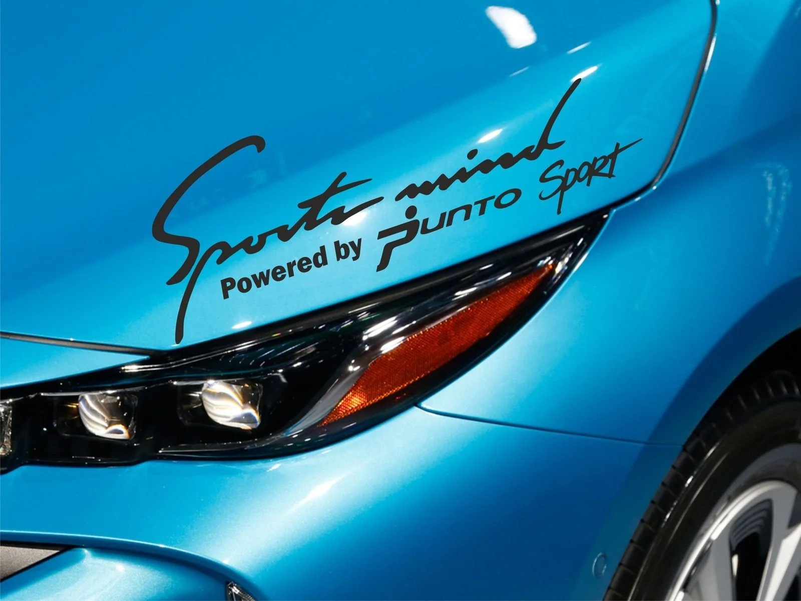 

Наклейка для 2xsports Mind подходит для Fiat Punto Decal эмблема автомобиля VW SM29