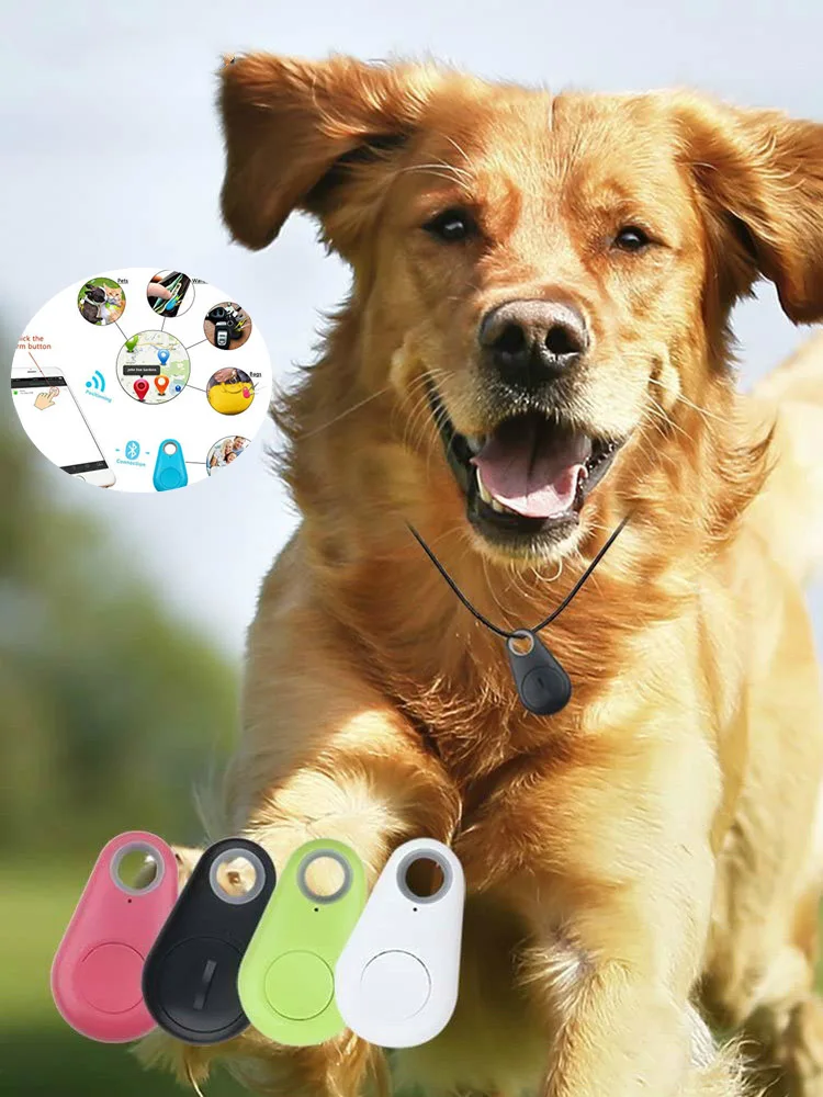 Z8 Evcil Hayvan Gps Takip Cihazi Kopek Kedi Tasma Su Gecirmez Gps Geri Cagirma Fonksiyonu Usb Sarj Gps Izci Evrensel Kopekler Icin Gps Trackers Aliexpress