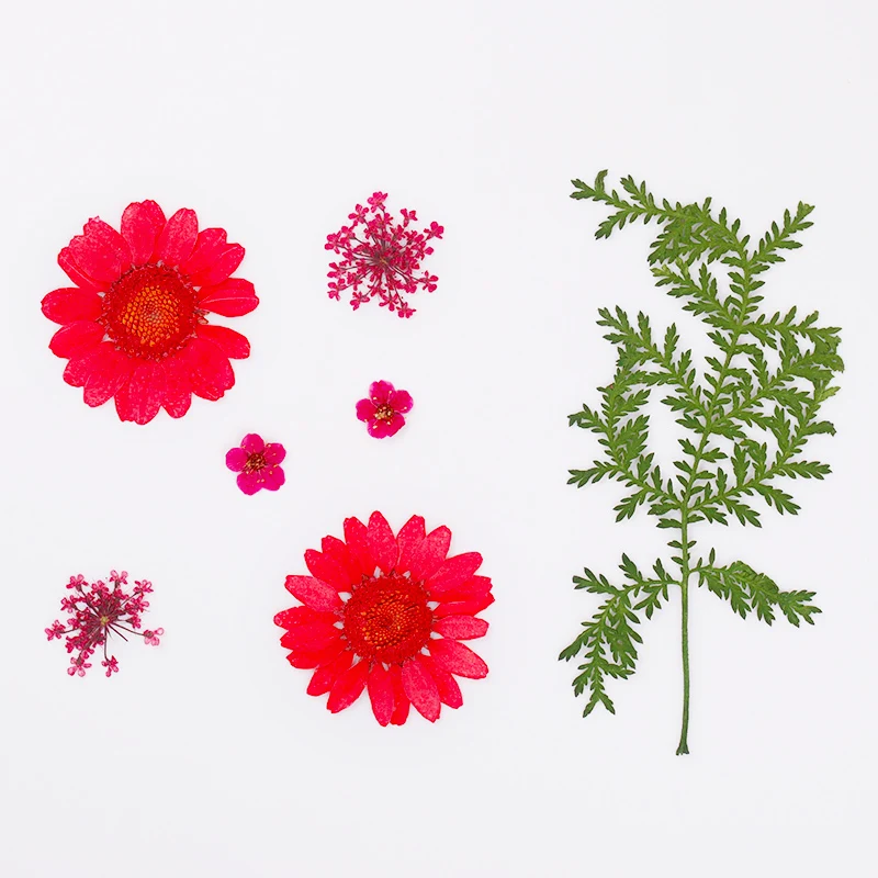 Сушеные цветы украшения для ногтей натуральные цветочные 3D сухие гортензии