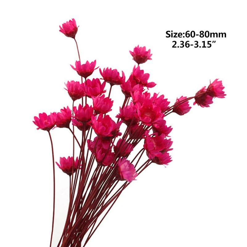 1 коробка наполнитель для цветов из эпоксидной смолы | Дом и сад