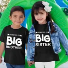 Детская футболка с коротким рукавом, с надписью Big SisterBrother, лето 2022