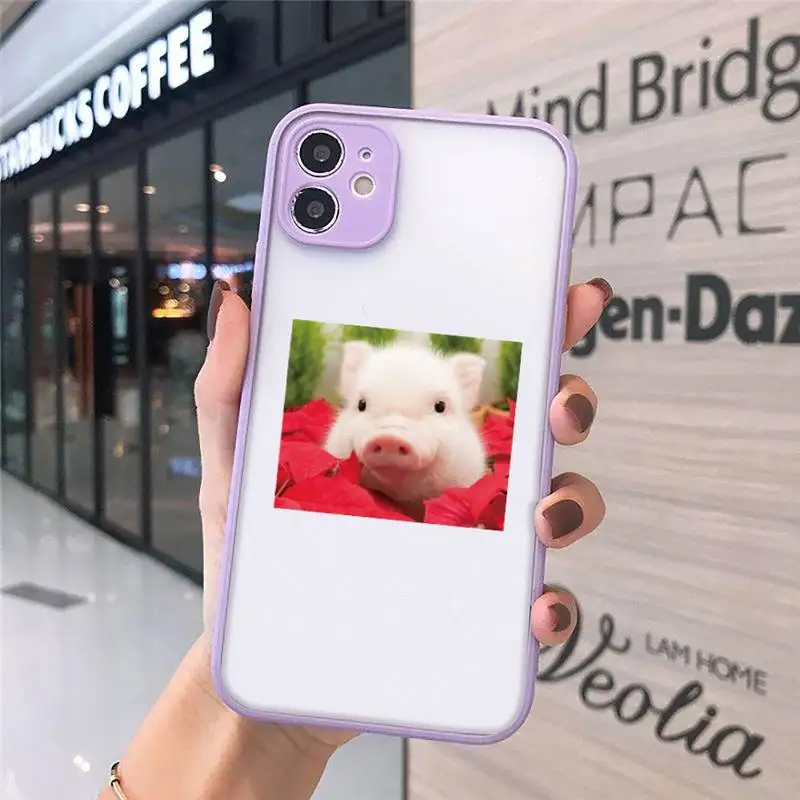 

cute pig Phone Cases Matte Transparent for iPhone 7 8 11 12 s mini pro X XS XR MAX Plus cover funda