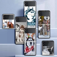 fold case for samsung z flip 3 shell for galaxy z flip3 hard capa for zflip 3 silicone phone cover animal husky