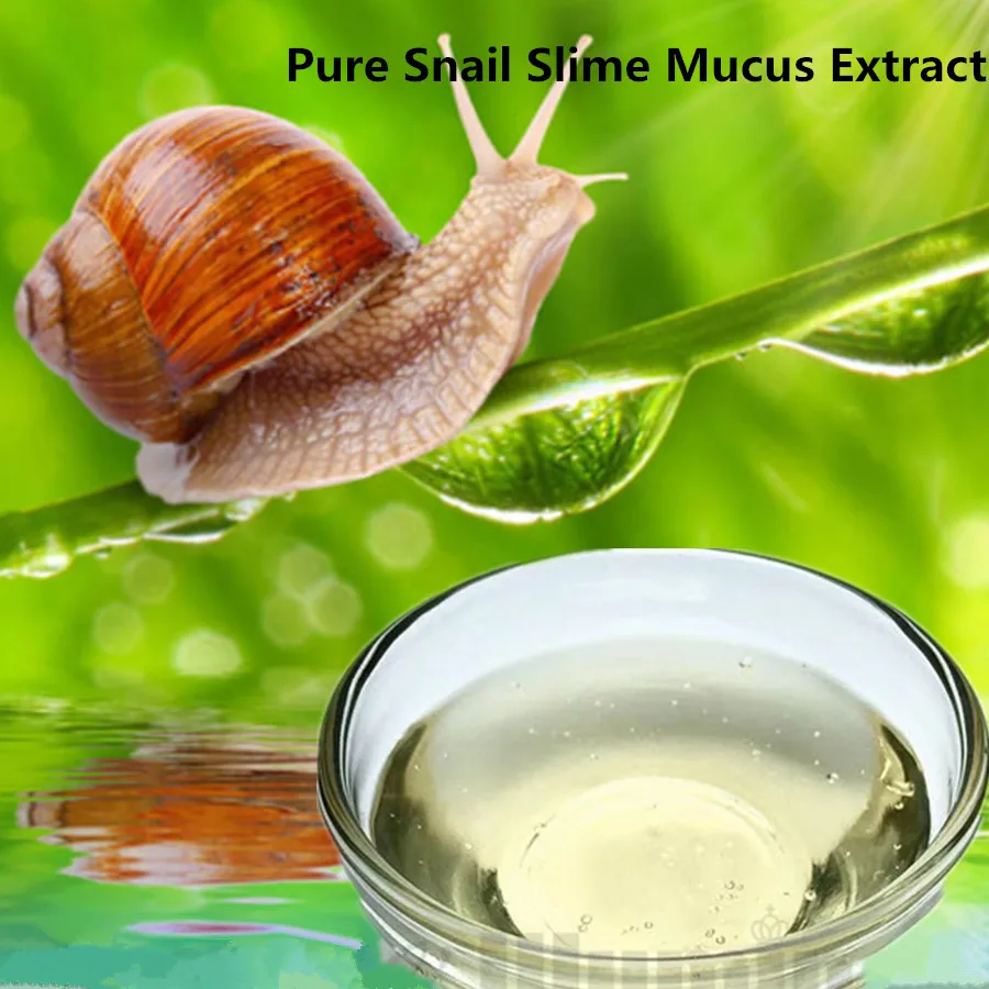 

Pure Snail Slime Mucus Same As Snail Crawling On The Face Treatment Beauty Salon Equipment