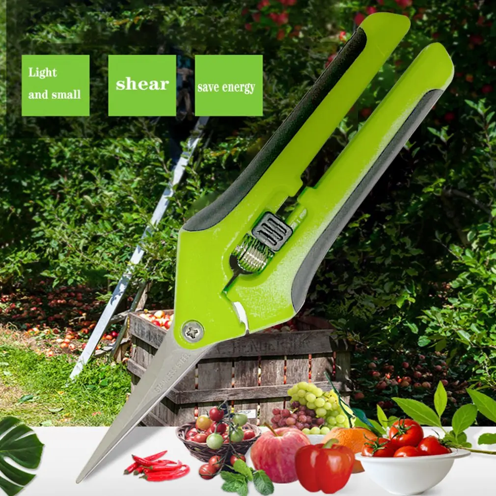 

Garden Tools