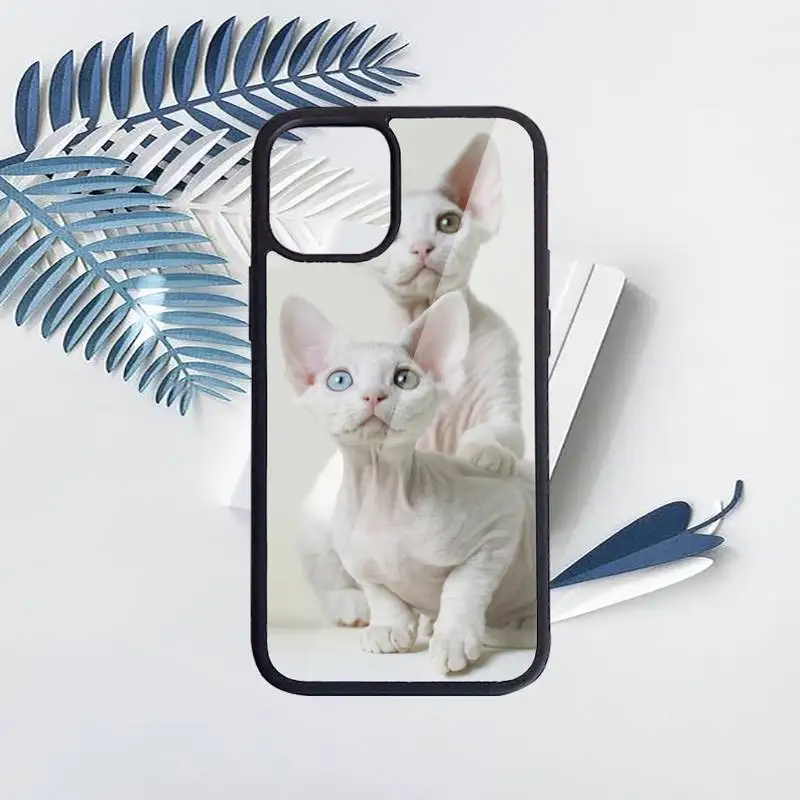 

Sphynx cat cute animal Phone Case PC for iPhone 11 12 pro XS MAX 8 7 6 6S Plus X 5S SE 2020 XR Luxury brand shell funda