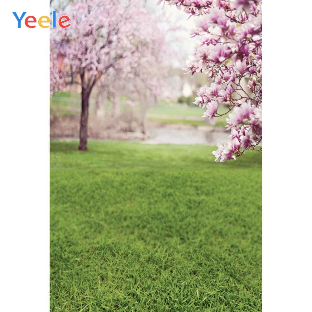 

Фон для студийной фотосъемки с изображением пастбища лужайки персика цветущего дерева