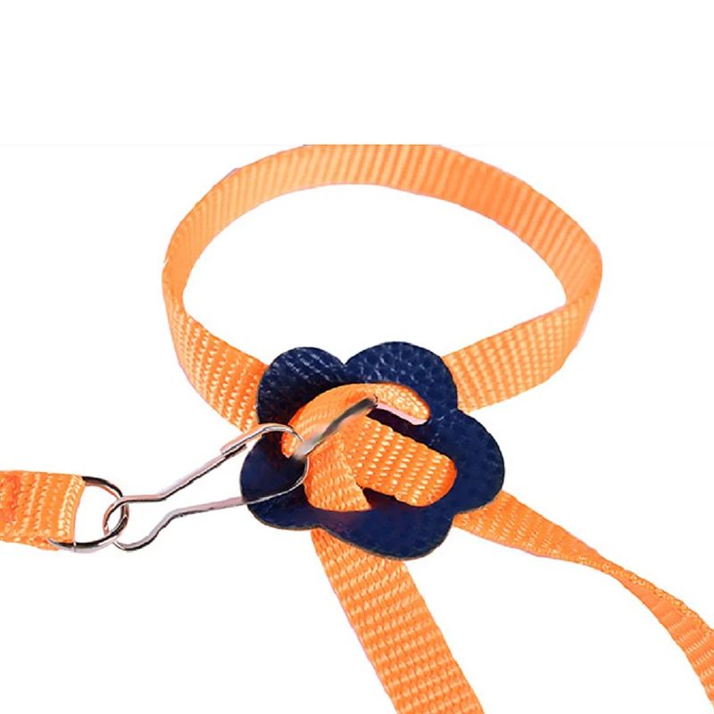 

Adjustable Bird Harness Leash Kit Pet Parrot Small animals Training Rope