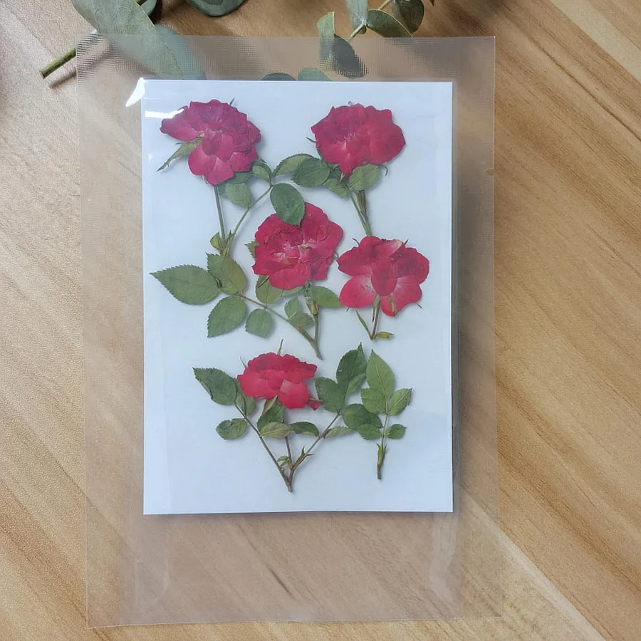 60 шт. сушеные прессованные красная роза с стебель цветка гербарий из растений для