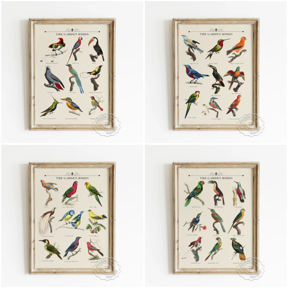 

Garden Birds Exhibition Collection Wall Art Prints Poster Animal Illustration Retro Canvas Painting Home Decor Housewarming Gift
