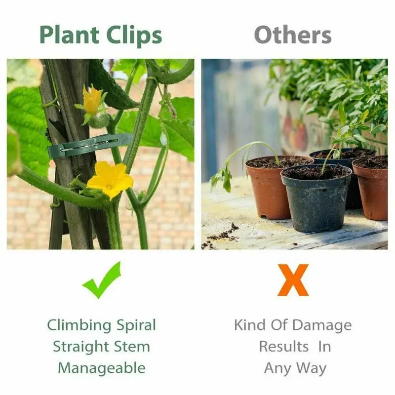 

20pcs Garden Plant Clips Garden Clip Tomato Tie Stem Plant Orchid Support Weatherproof Grow Training Garden Supplies