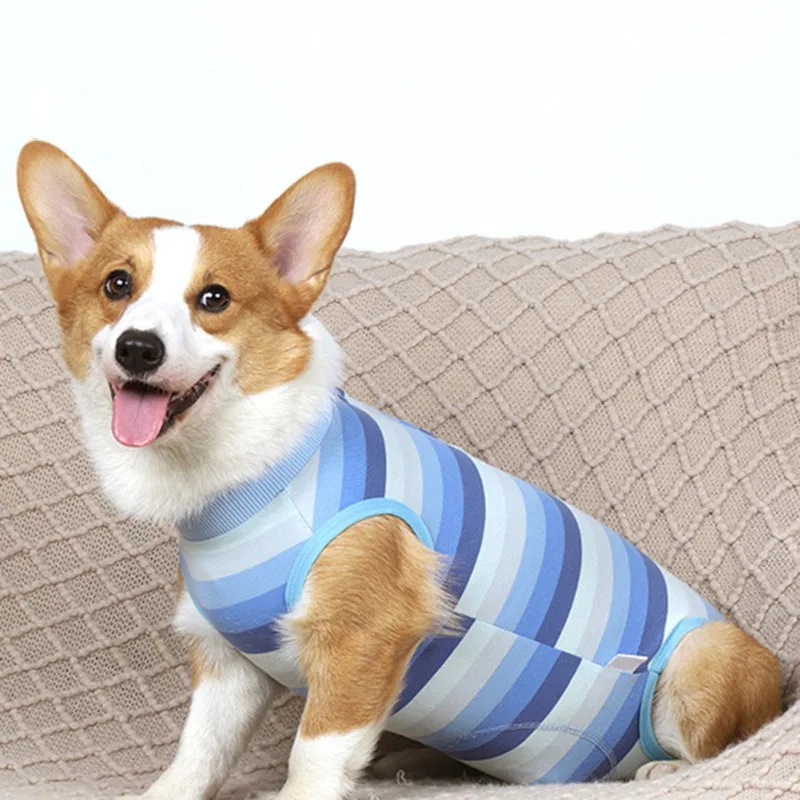 

Cute Pet Dogs Clothes Surgical Operation Recovery Suit Anti Wounds After Surgery Suit Soft Fabric 4-legged Jumpsuit Pet Apparel
