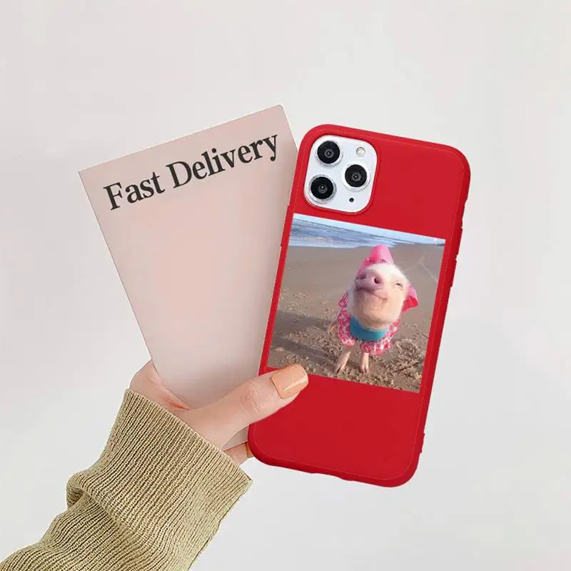 

Cute Little Pink Pet Pig Phone Case Candy Color Red for iPhone 11 12 pro XS MAX 8 7 6 6S Plus X 5S SE 2020 XR