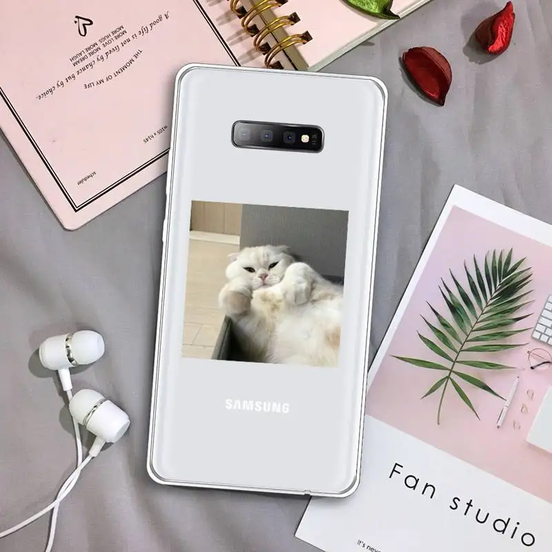 

cute cat Phone Case Transparent For Samsung Galaxy A71 A21s S8 S9 S10 plus note 20 ultra