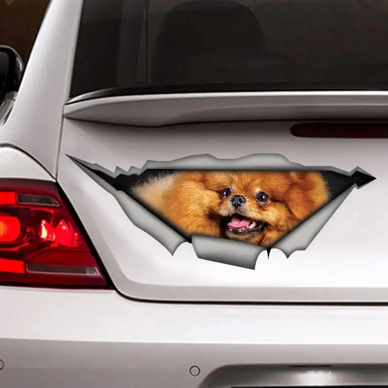 

2021 Pomeranian sticker, car decal, Vinyl decal, Pet sticker, Dog decal, Pomeranian car decal