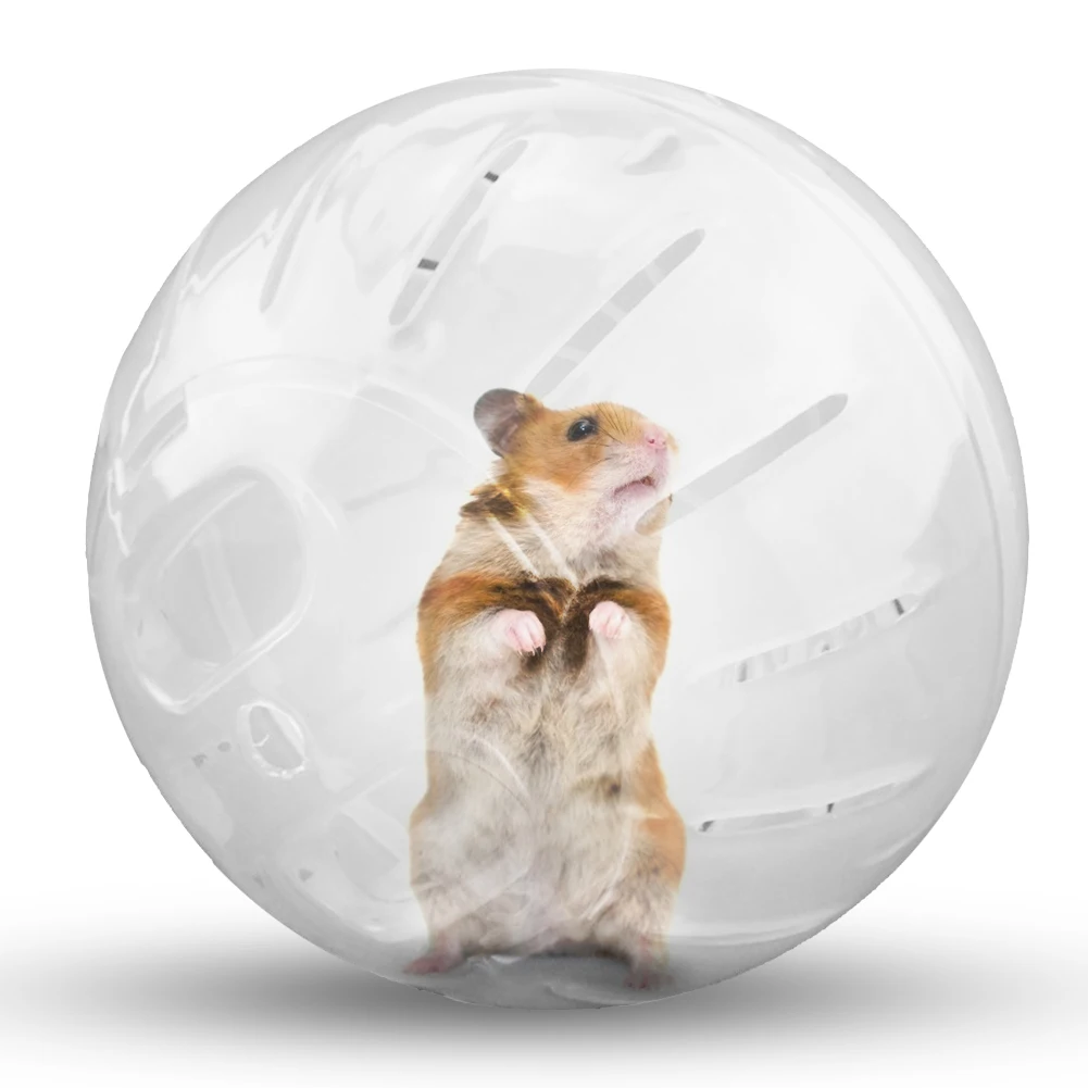 

1pc 12/10cm hamster ball mouse toy pet chinchilla ball hamster gerbil rat jogging fitness ball cage toy hamster product