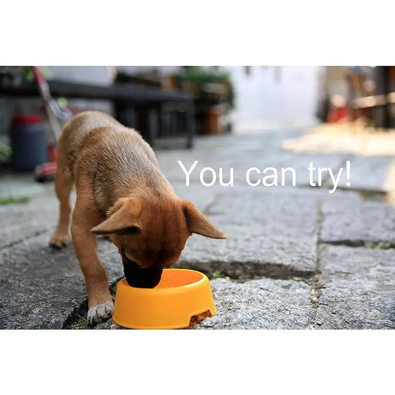 

3 Pcs/Set Cute Dog Bowl Multi-Purpose Plastic Round Pet Bowl Pet Small Cats Dogs Drinking Dish Feeder Dogs Bowls Supplies