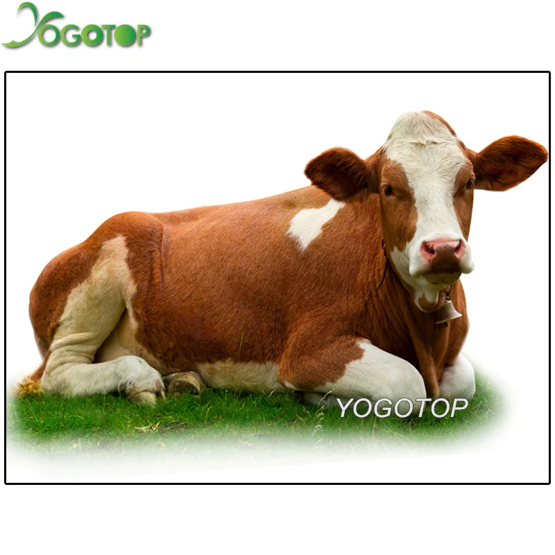 

5d Diy Diamond Painting Dutch cow Cross Stitch Diamond Embroidery Full Kit Wall Stickers Handicraft Arts Craft Decoration YY1522