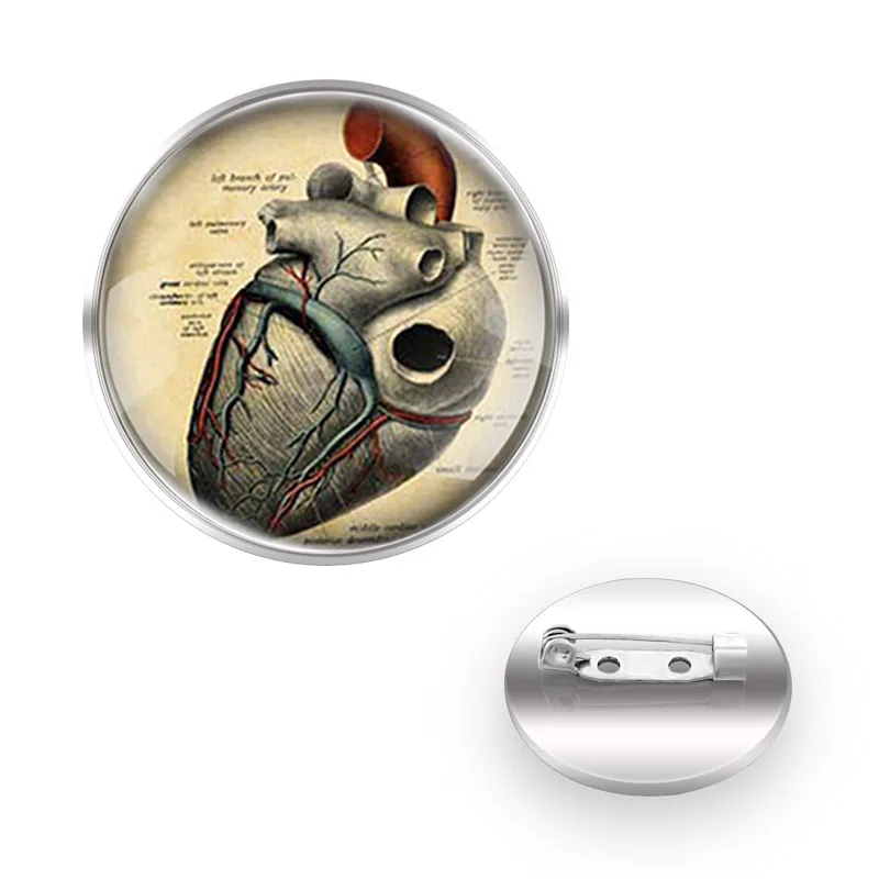 

High Quality Unique Heart Anatomy Map Brooch Badge Glass Cabochon Dome For Bag Clothes Steampunk Decoration Pins