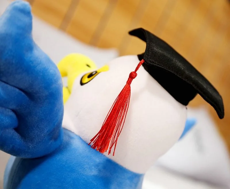 Детская милая мягкая кукла 30 см 40 подушка Ragdoll детский подарок на день рождения и