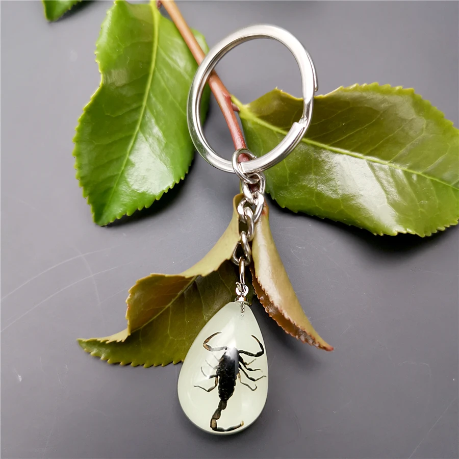 10pcs Scorpion Crab Keychain Glow in the Dark Real Insect Keychain Beetle Keychains for MenKey Ring Specimens Collecting Trinket