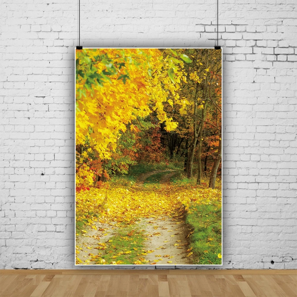 Фон для фотосъемки с изображением осеннего леса листьев природного пейзажа -