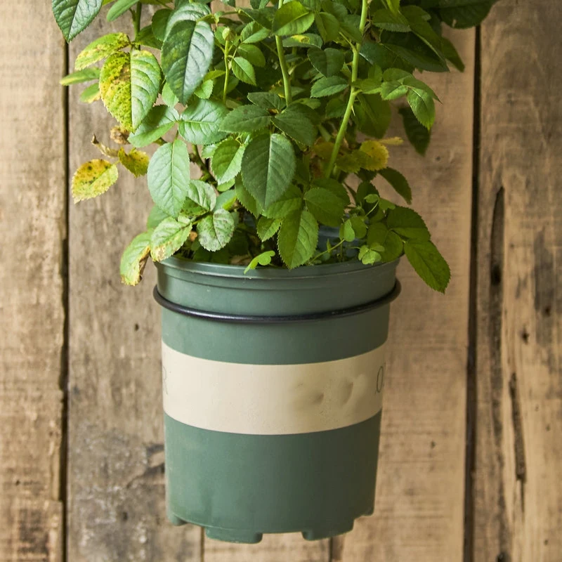 

5PC Hanging Basket Outdoor Fences Pallets Practical Rings Brackets Plant Pot Hangers Garden Wall Mounted Backyard Patio