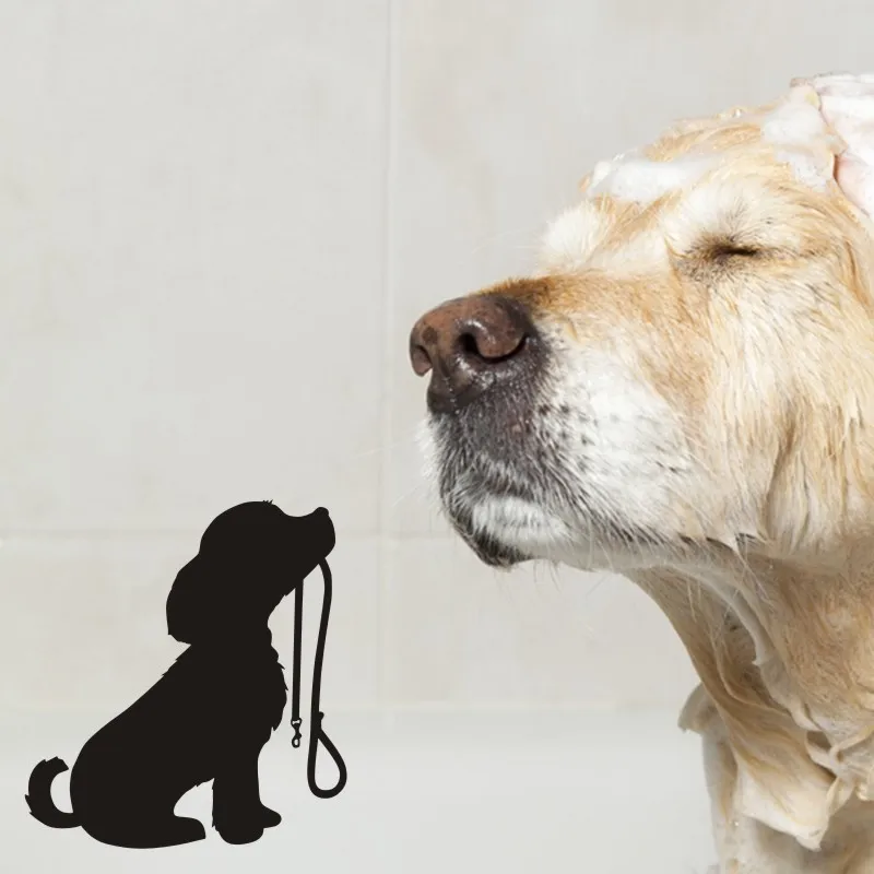 Наклейки для домашних животных салон ухода за собакой Pet Shop виниловые настенные