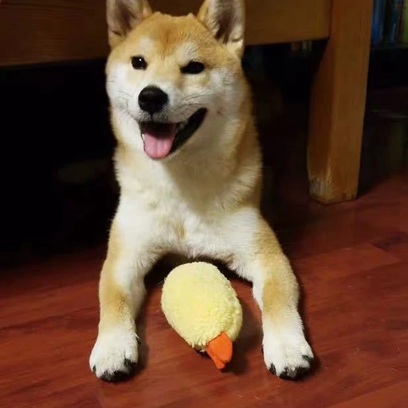 

Pet Dog Squeaky Toy Shrimp Tempura Lovely Puppy Bite Chewing Toy Pet Squeaky Toy Cute Plush Sound Toy Pet Dog Toy Dorakitten