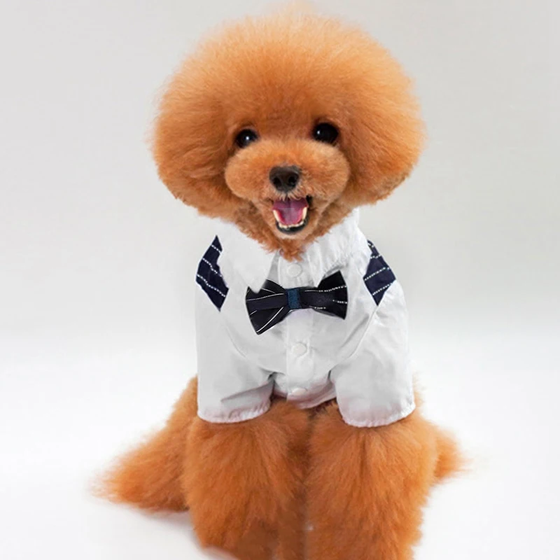 Одежда для хот-догов костюм с галстуком-бабочкой пальто собак удобный смокинг