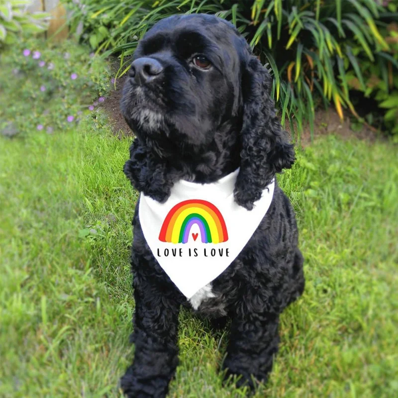 

Summer Dog Rainbow Pet Cat Dog Scarf For Small Dogs Puppy Bibs Dog Accessories