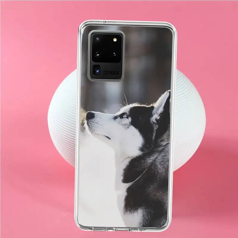 Чехол для телефона Husky dog Samsung S6 S7 edge S8 Plus S9 S10 plus E(lite) | Мобильные телефоны и