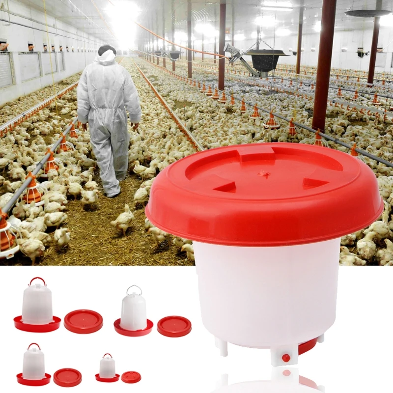 

2.5L Chook Chicken Poultry Aviary Automatic Feeder&6/3/1.5L Waterer Drinker D7WE