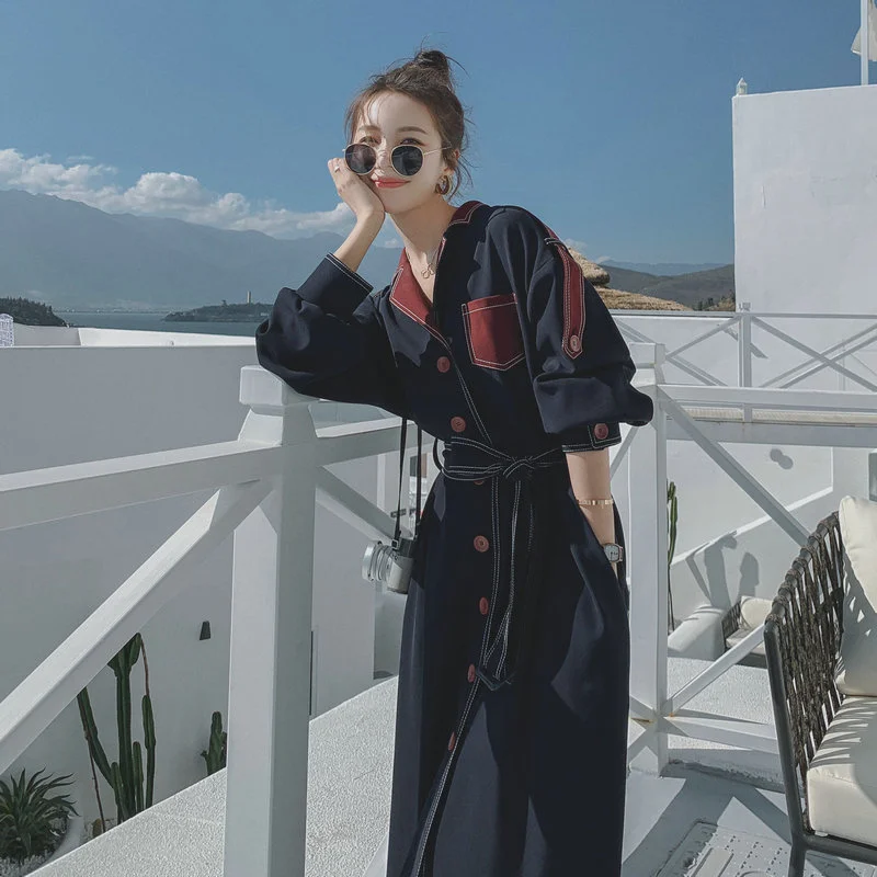 

Big Have Been Released 2021 Autumn Dress for Women