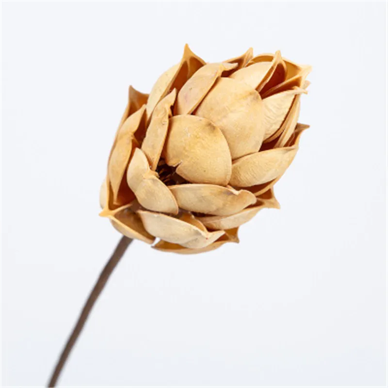 Sycamore Натуральные сушеные цветы ручной работы украшение для дома гостиной