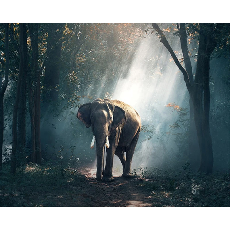 Набор для алмазной вышивки сделай сам картина с квадратными стразами мозаика