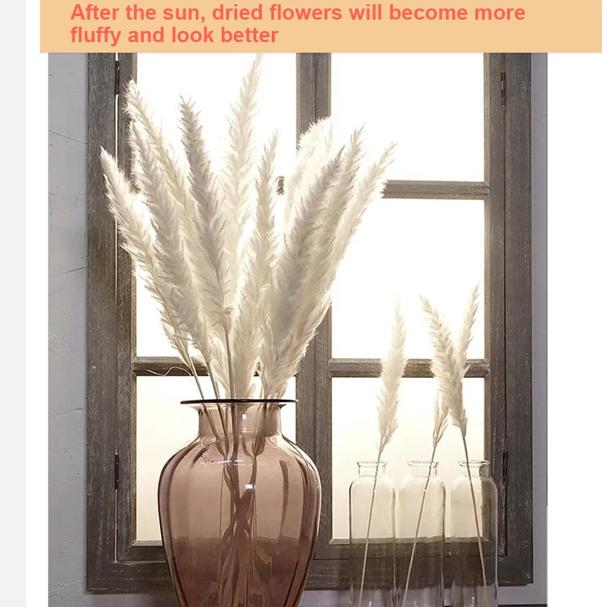 

TINEMET Natural Dried Pampas 20Pcs, Dried Pampas Grass Wedding Home Decor Natural Dried Decorative