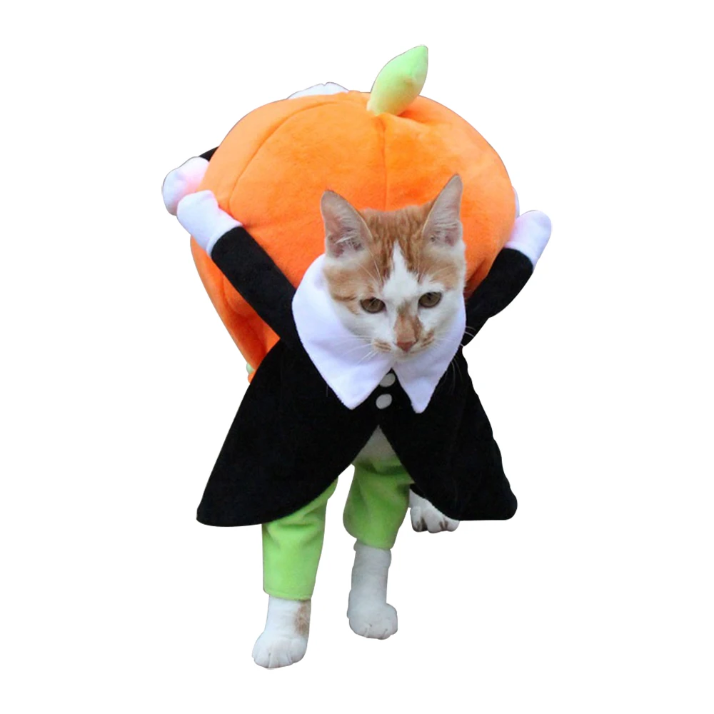 Disfraz divertido de calabaza para perro, ropa de Halloween para mascotas, para eventos especiales, disfraces bonitos para perros-0