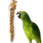 Корзина для кормления птиц, корзина для попугаев, фруктов, овощей, проса, корзина для лечения птиц