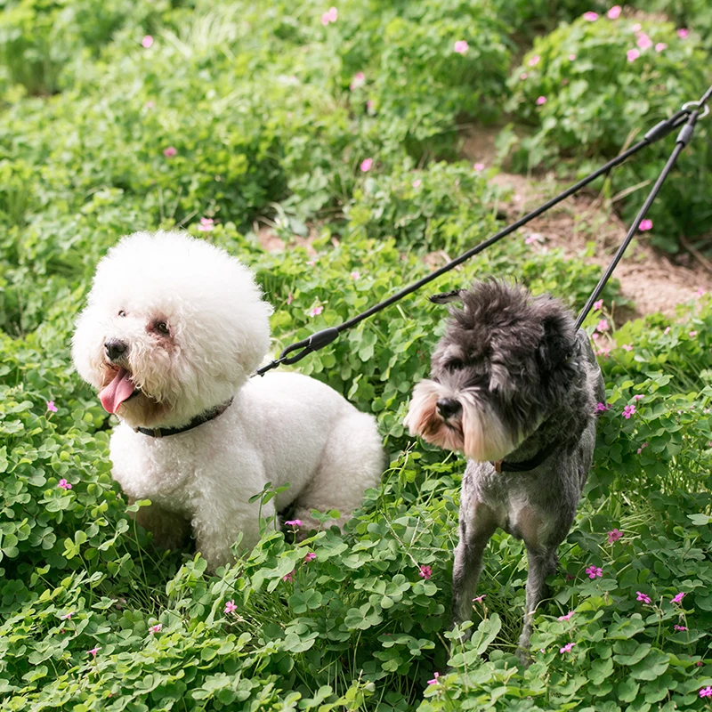 Двойной поводок для собак dadugo безопасный прогулок 2 нейлоновый размера s/m 4 цвета