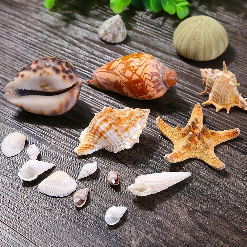110 г/150 г/330 г/500 г разноцветные пляжные морские ракушки Ракушки Морская звезда