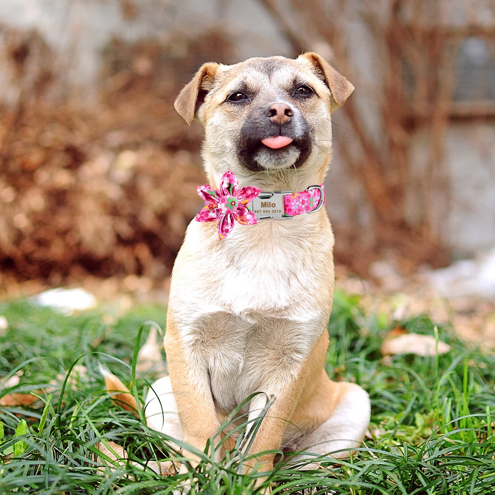 

Custom Free Engraved Name Tag Personalized Dog Collar Adjustable Nylon Plaid Unisex Dogs Collar Small Large Product Dog Collars