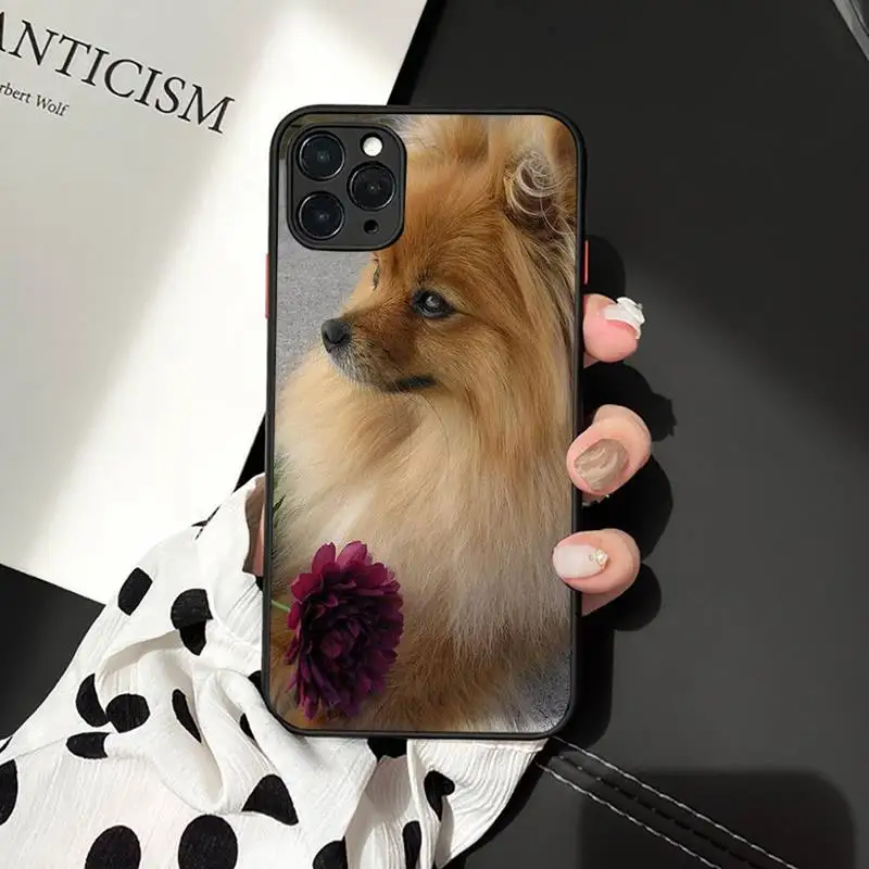 Чехол для телефона с изображением Померанской собаки iphone 12 11 7 8 plus mini x xs xr pro max