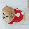 Флисовая одежда для домашних животных, котов, костюмированных пижам, вечерние наряды, одежда для собак, пальто, куртки, толстовки, одежда, Roupa para cachorro 25 A1
