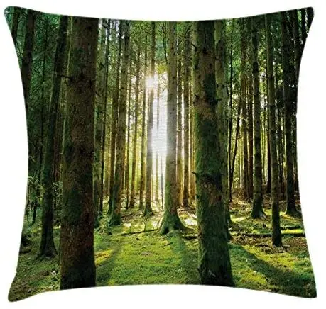 

Pooizsdzzz Fore Throw Pillow Cushion Cover, Scenic Scenery with Sunbeams in The Fore Sunny Summer Day Morg View