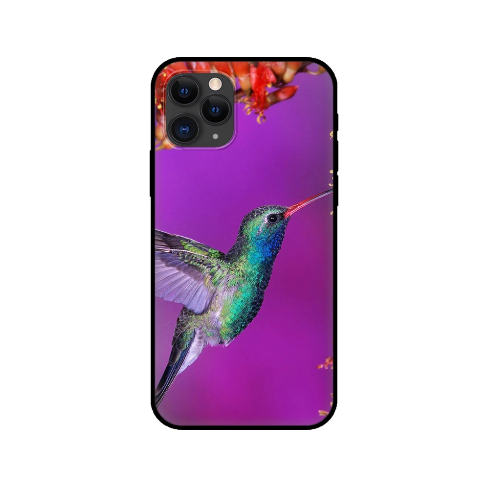 black tpu case for iphone 5 5s se 2020 6 6s 7 8 plus x 10 xr xs 11 12 mini pro max back cover pretty hummingbird free global shipping