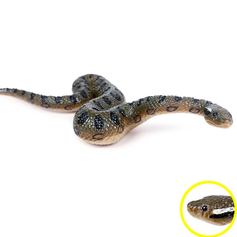 Simulation Anaconda Amphibian Snake Model Toy Child Wild Animal |